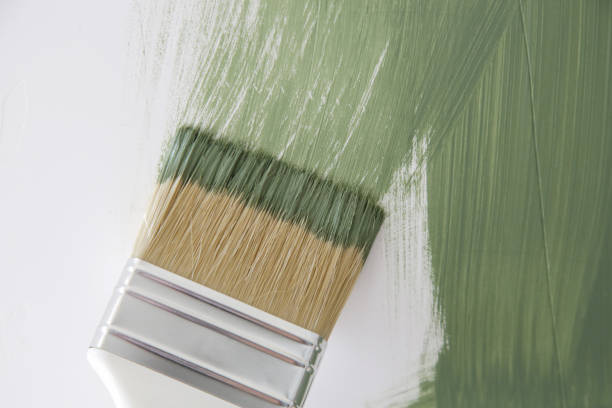 Reliable Fort Pierce, FL Mold Removal Solutions