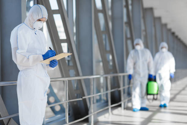 Environmental Consulting for Mold Prevention in Fort Pierce, FL