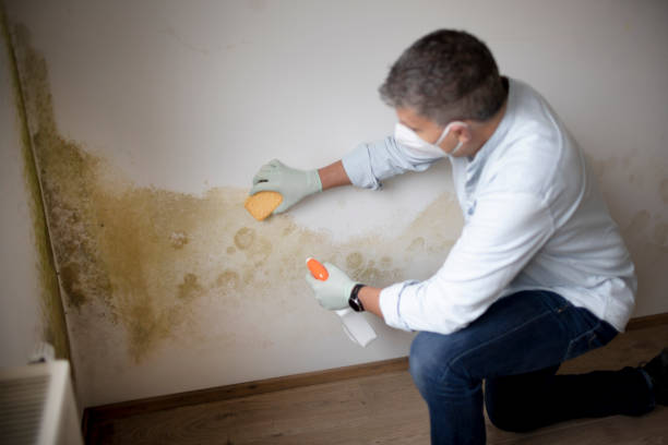 Best HVAC Mold Inspection and Cleaning  in Fort Pierce, FL