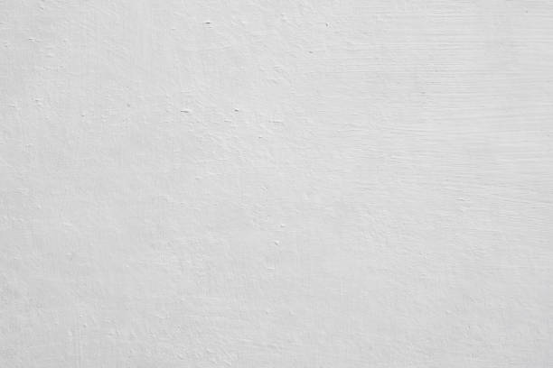 Best Mold Prevention Services  in Fort Pierce, FL