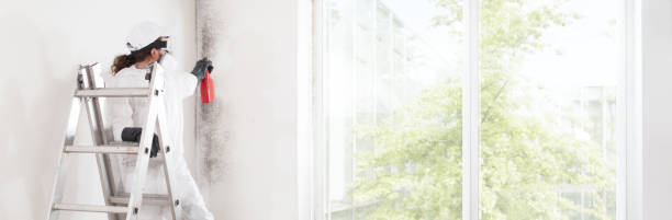 Best Water Damage & Mold Remediation  in Fort Pierce, FL